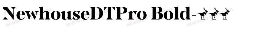 NewhouseDTPro Bold字体转换